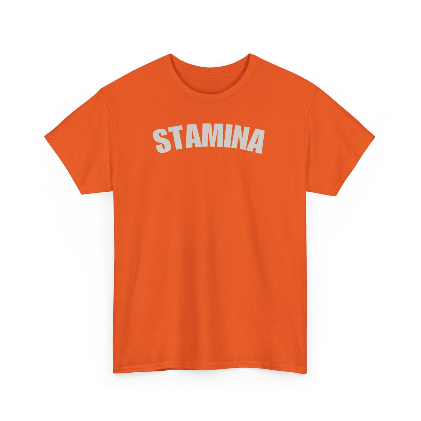 STAMINA Unisex Heavy Cotton Tee - Premium Fitness Apparel for Gym, Workout Shirt, Moisture-Wicking Exercise Top, Men & Women